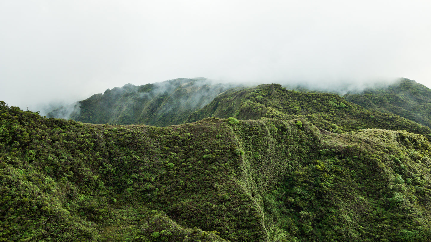 Lost In Time - Kauai