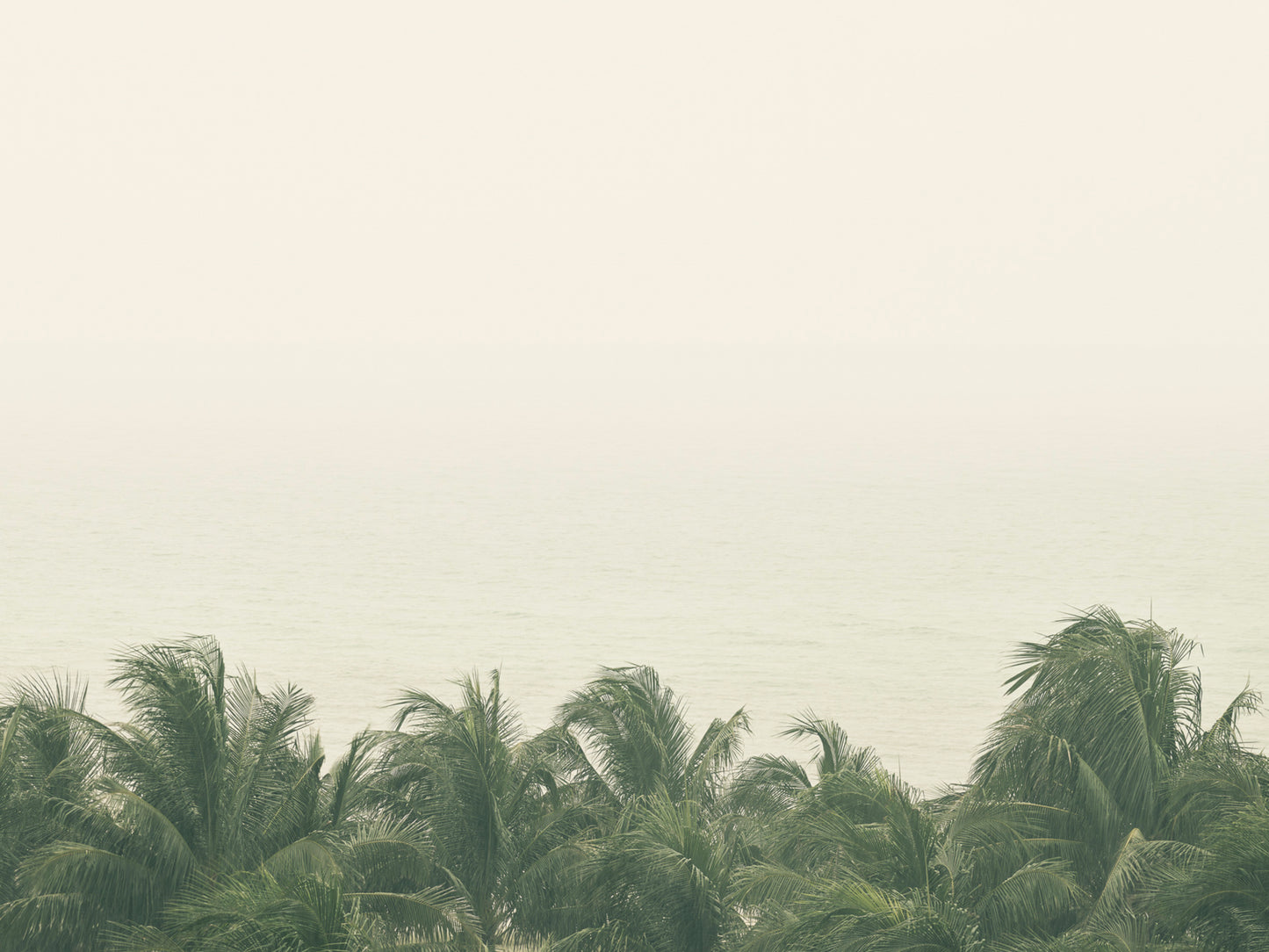 Tropic Thunder II - Miami