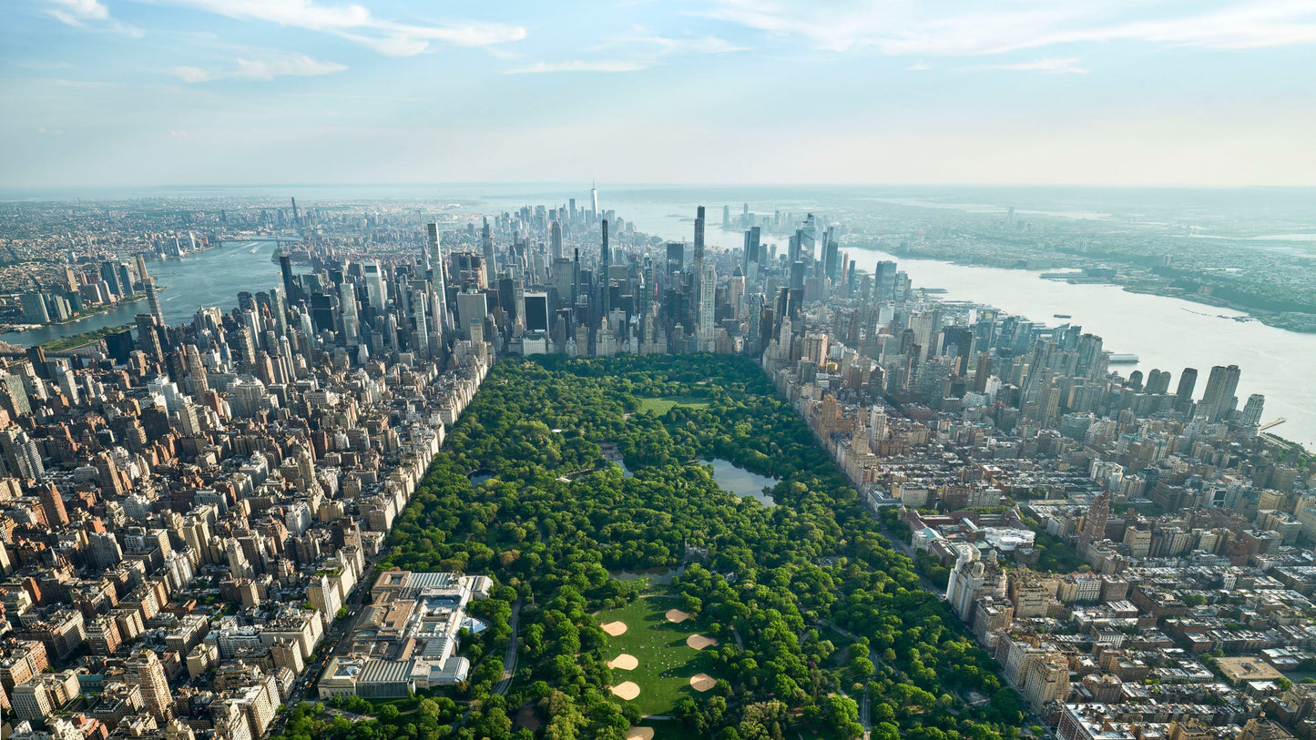 Above The Park - NYC