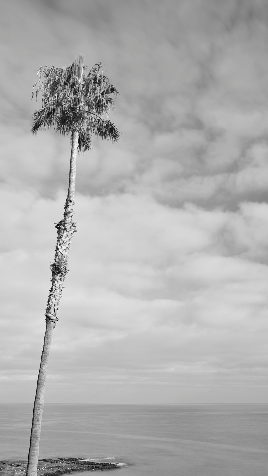 California Love - Laguna Beach