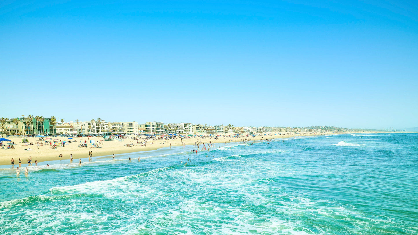 Crystal Clear - Venice Beach