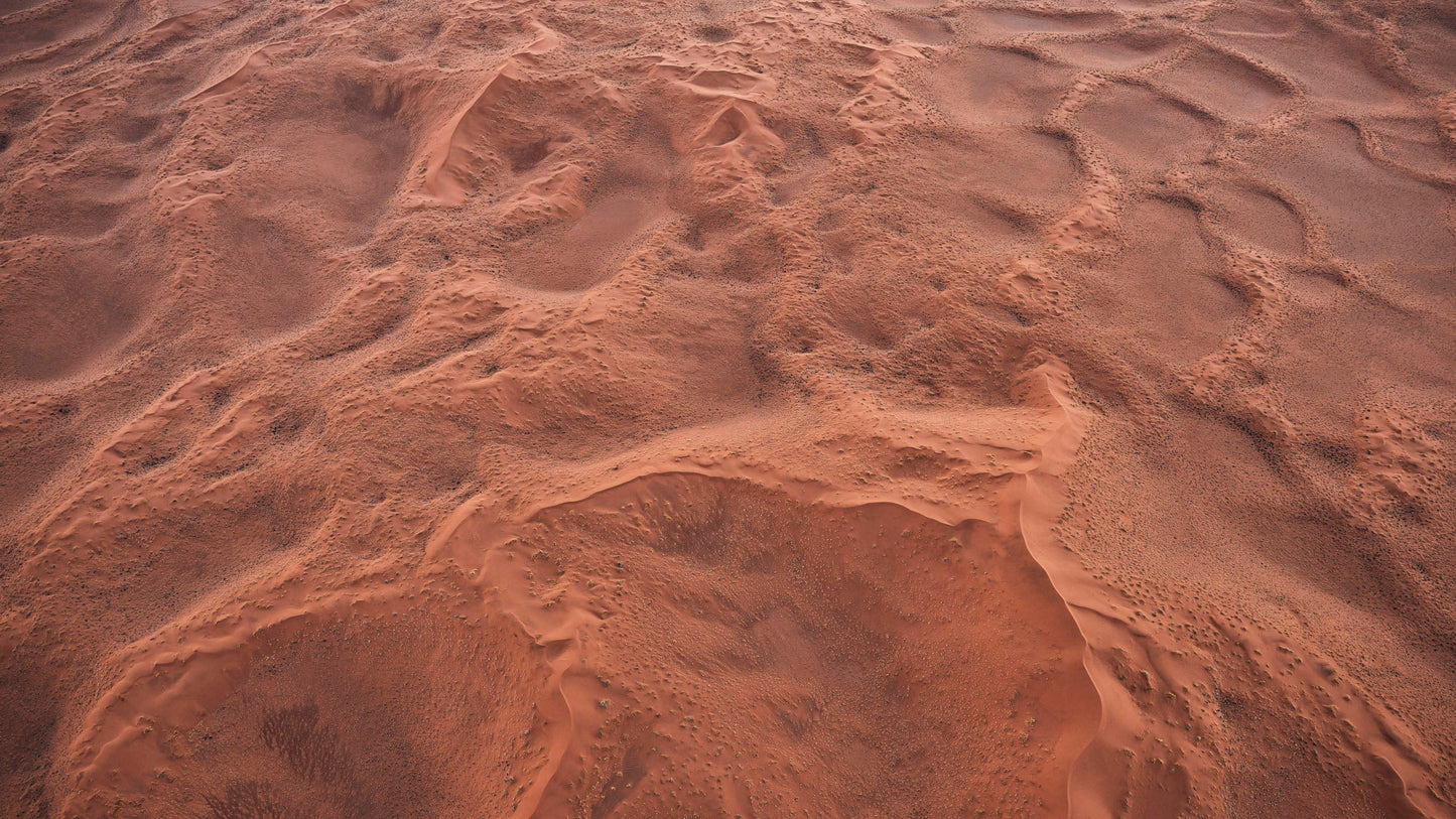 Desert Rose - Namib Desert, Namibia