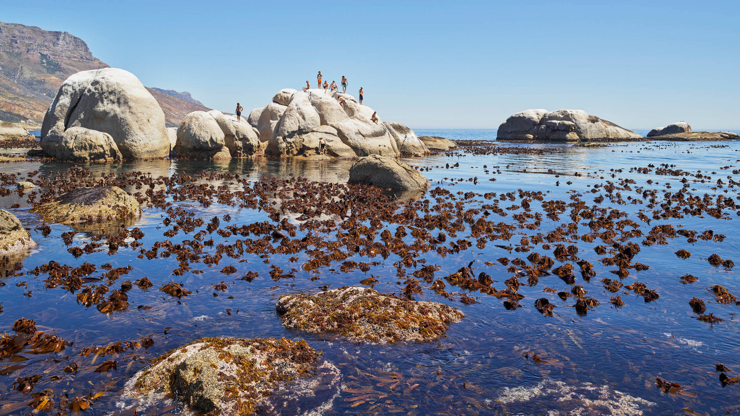 Endless Summer - Bakoven Cape Town, South Africa
