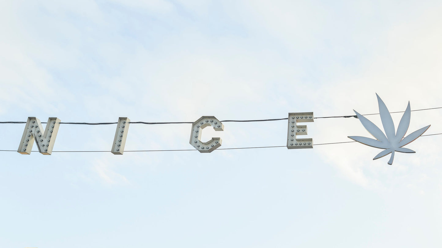 Feeling Really Nice - Venice Beach