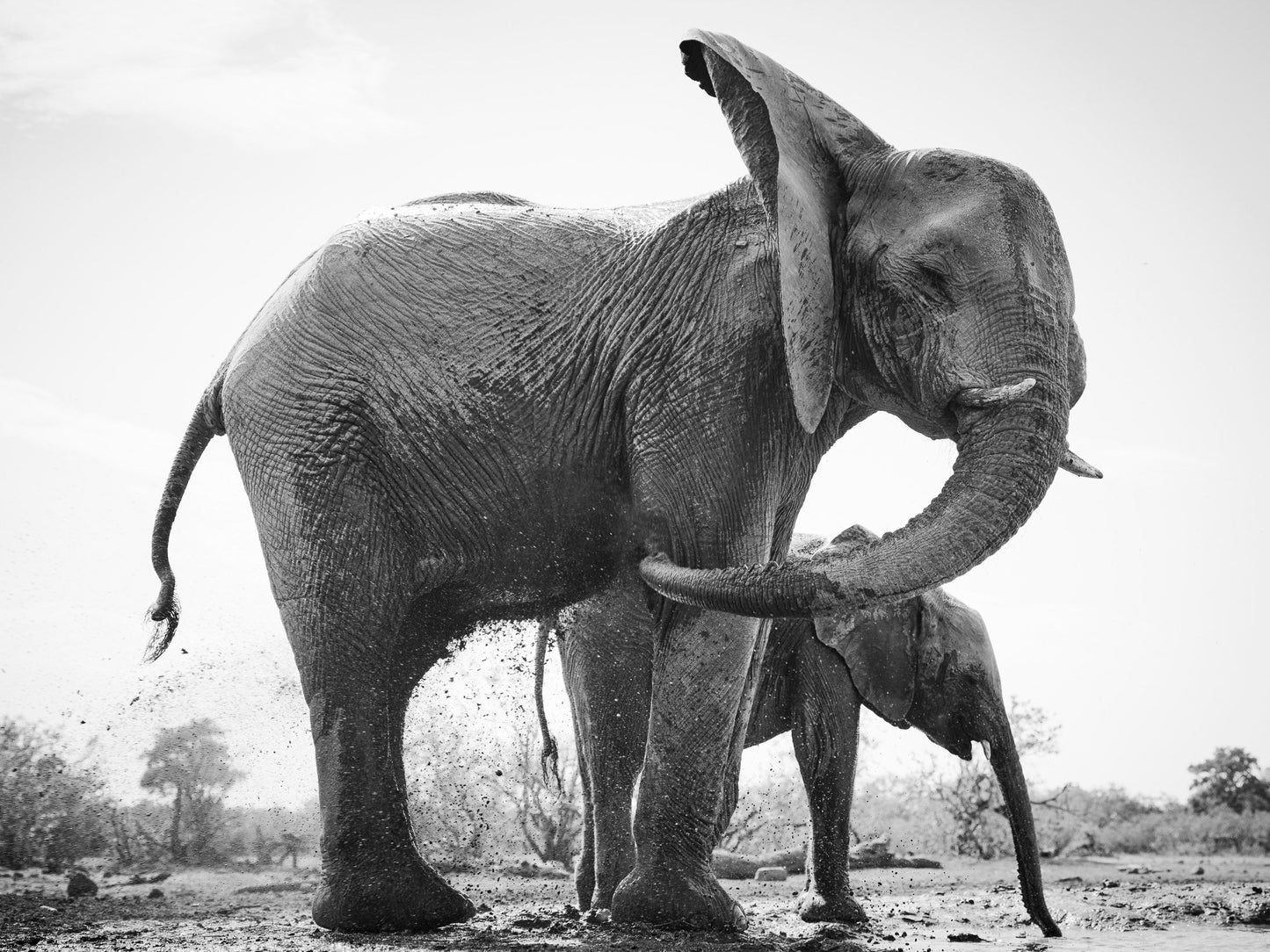 Happy - Botswana