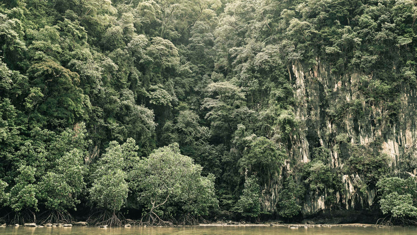 Lost in the Wild I - Thailand