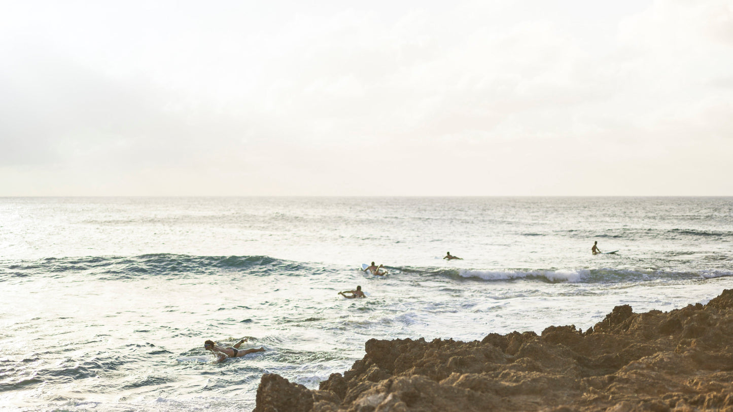 North Shore Shaka - North Shore, Oahu