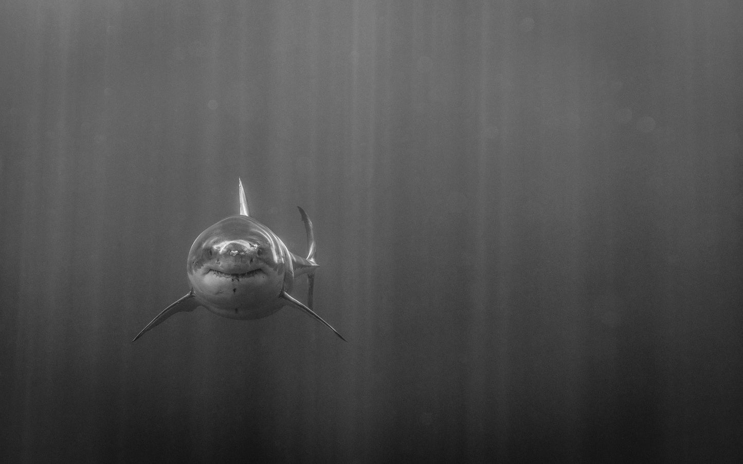 Out from the Deep - Mexico