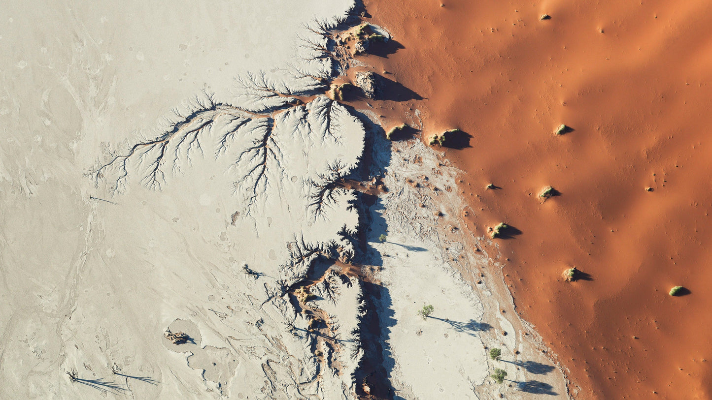 Reminiscence - Namib Desert, Namibia