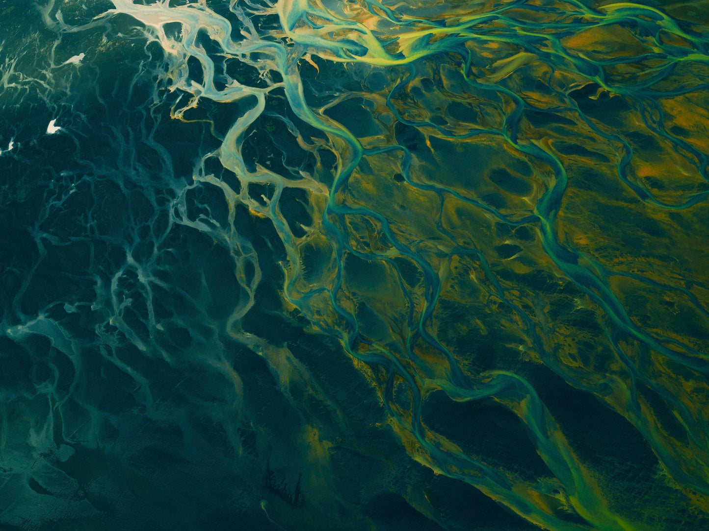Riverbeds I - Iceland