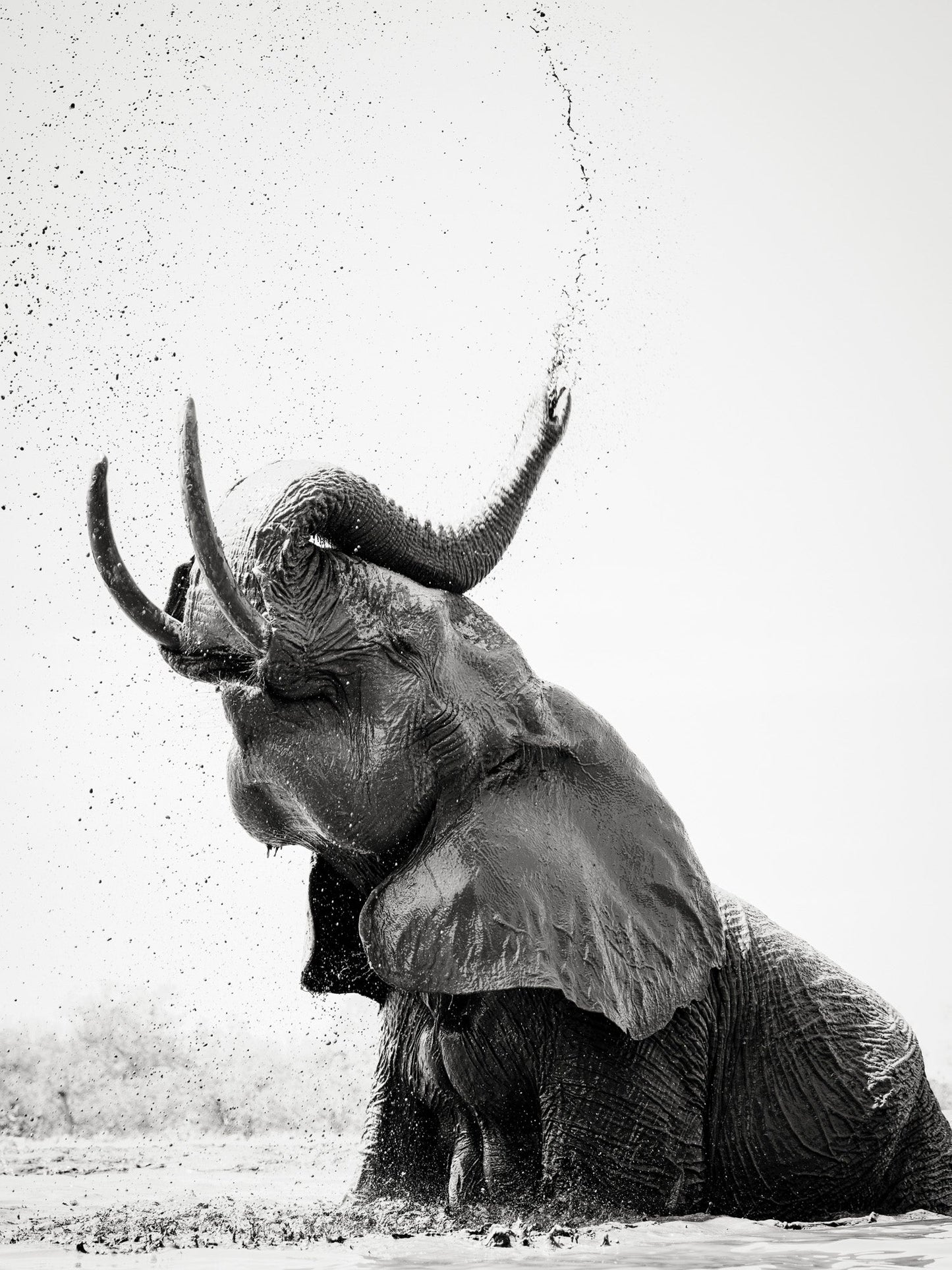 Spirit Bath - Botswana