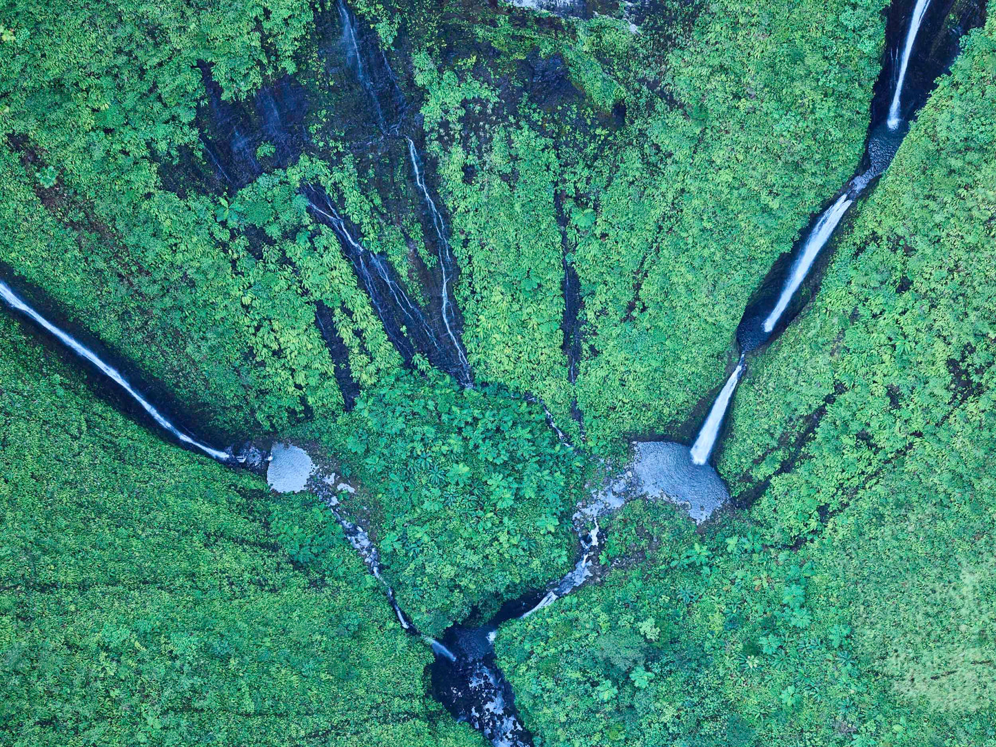 The Green Paradise - Kauai
