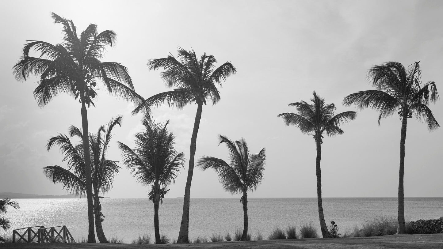 The Maginficent Seven - Jumby Bay Island, Antigua