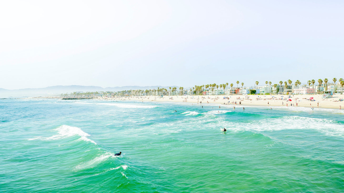 The Point - Venice Beach