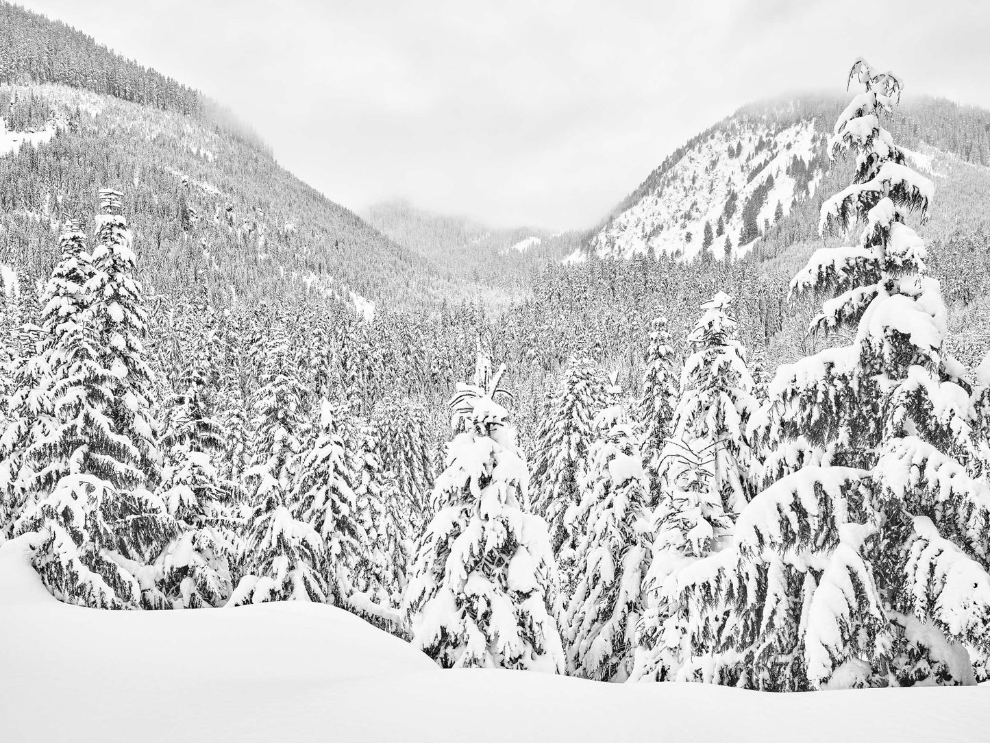 The Valley - Whistler