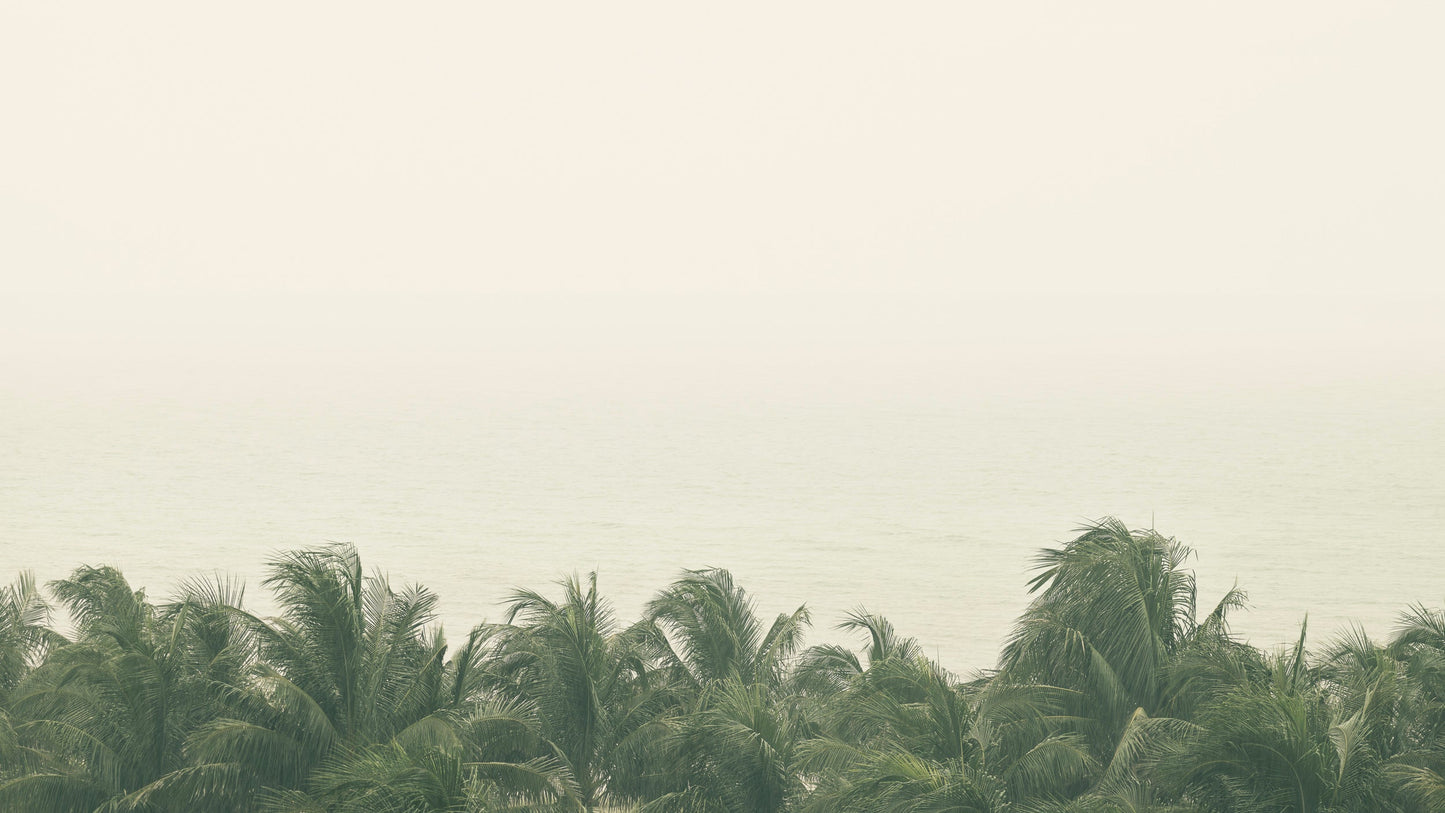 Tropic Thunder - Miami