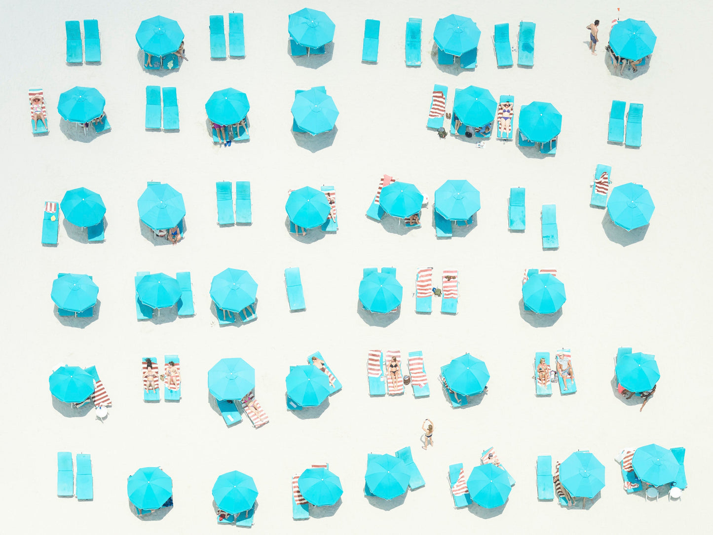 Turquoise Shades - Miami