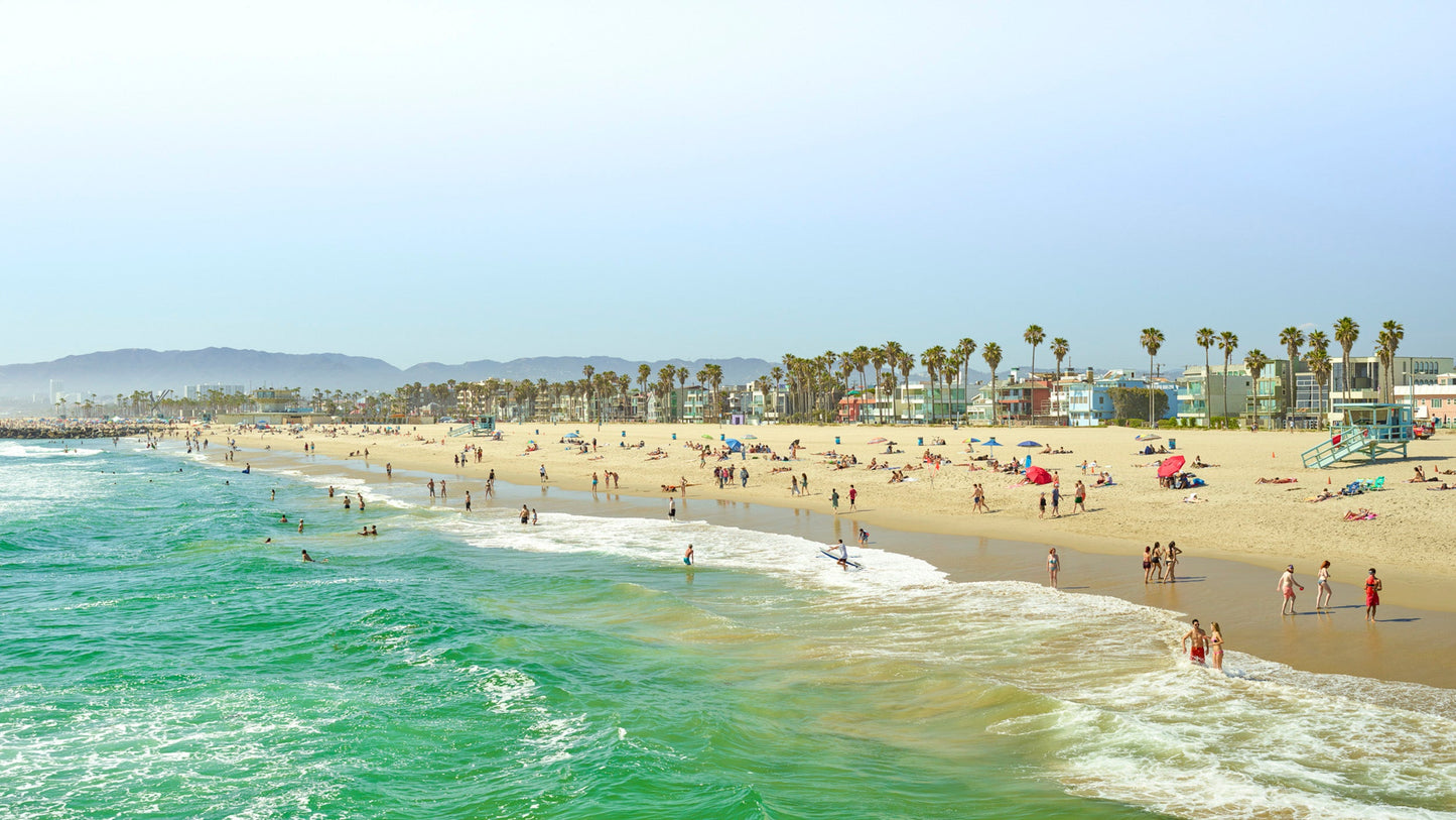Venice Swimmers - Venice Beach