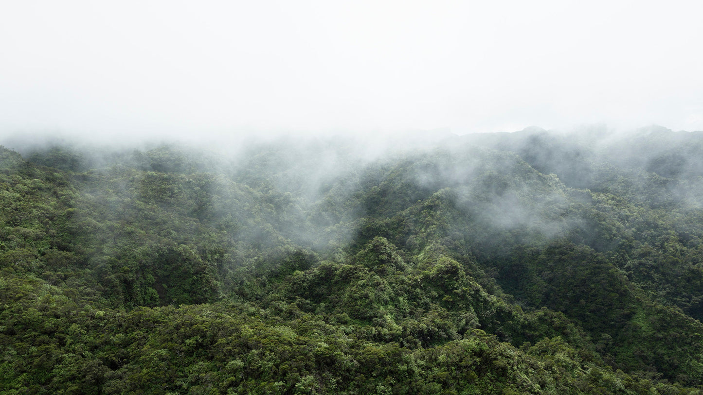 Wai'ale'ale - Kauai
