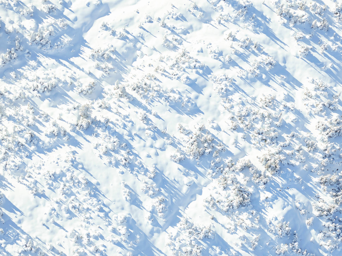 Winter Wonderland - British Columbia