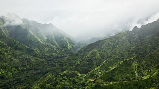 In Another World - Kauai