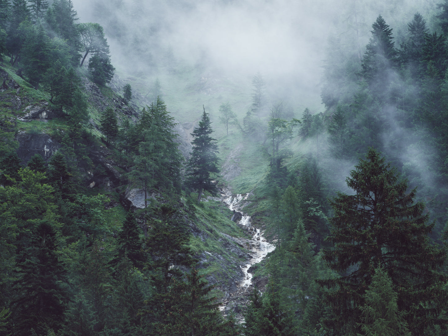 Little Creek - Austria