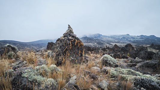 Pole Pole - Mt. Kilimanjaro