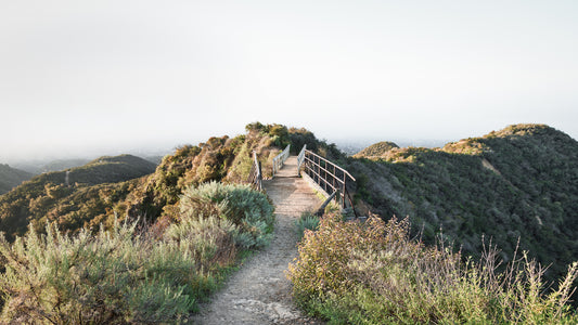 Rise Up - Pacific Palisades