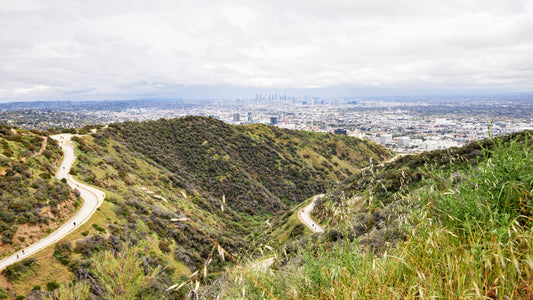 Runyon - Los Angeles
