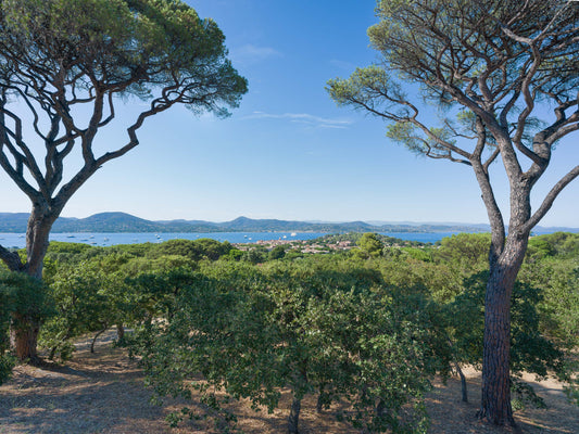 St. Trop - Saint Tropez