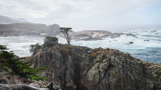 Salt and Pepper - Big Sur