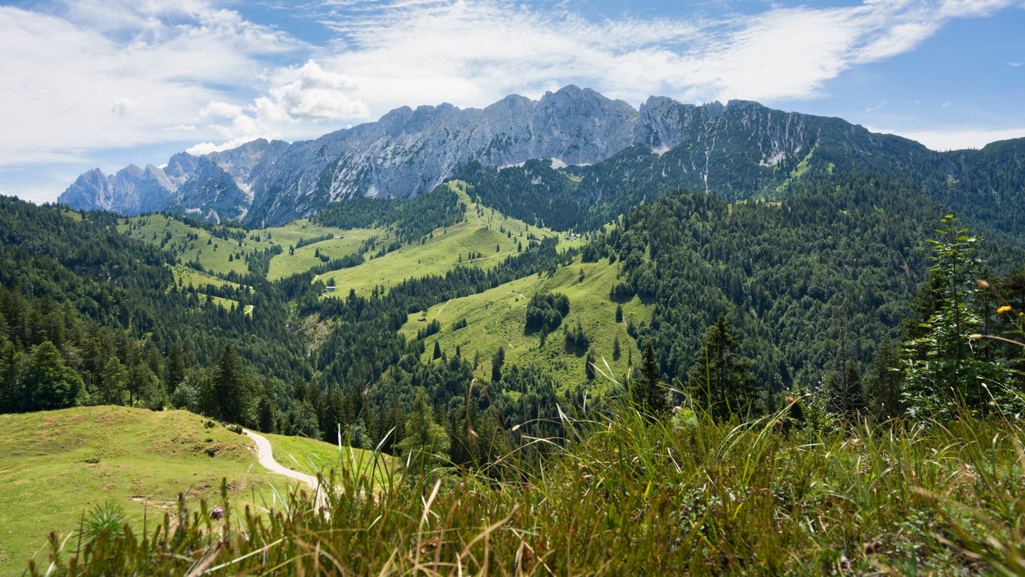 Sound of Music - Austria