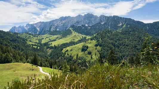 Sound of Music - Austria