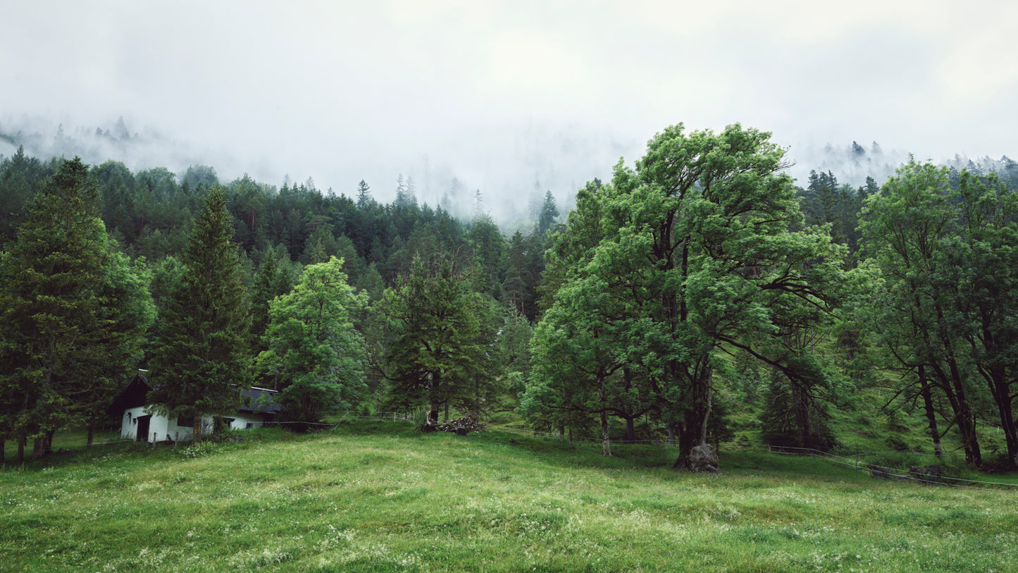 Stillness - Austria