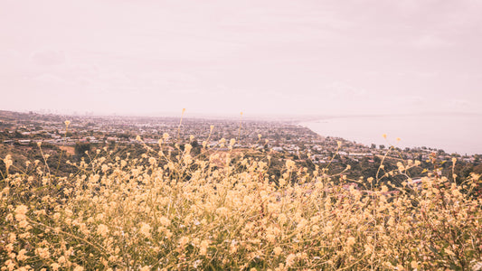 The Palisades - Pacific Palisades