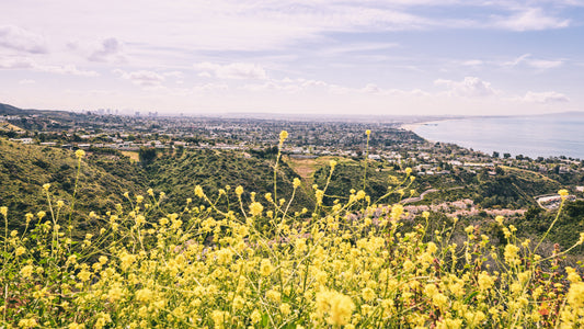 The Palisades - Pacific Palisades