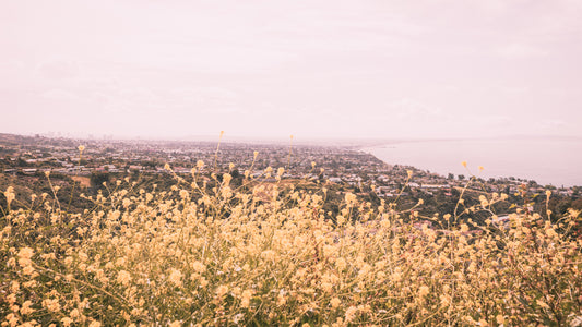 The Palisades - Pacific Palisades
