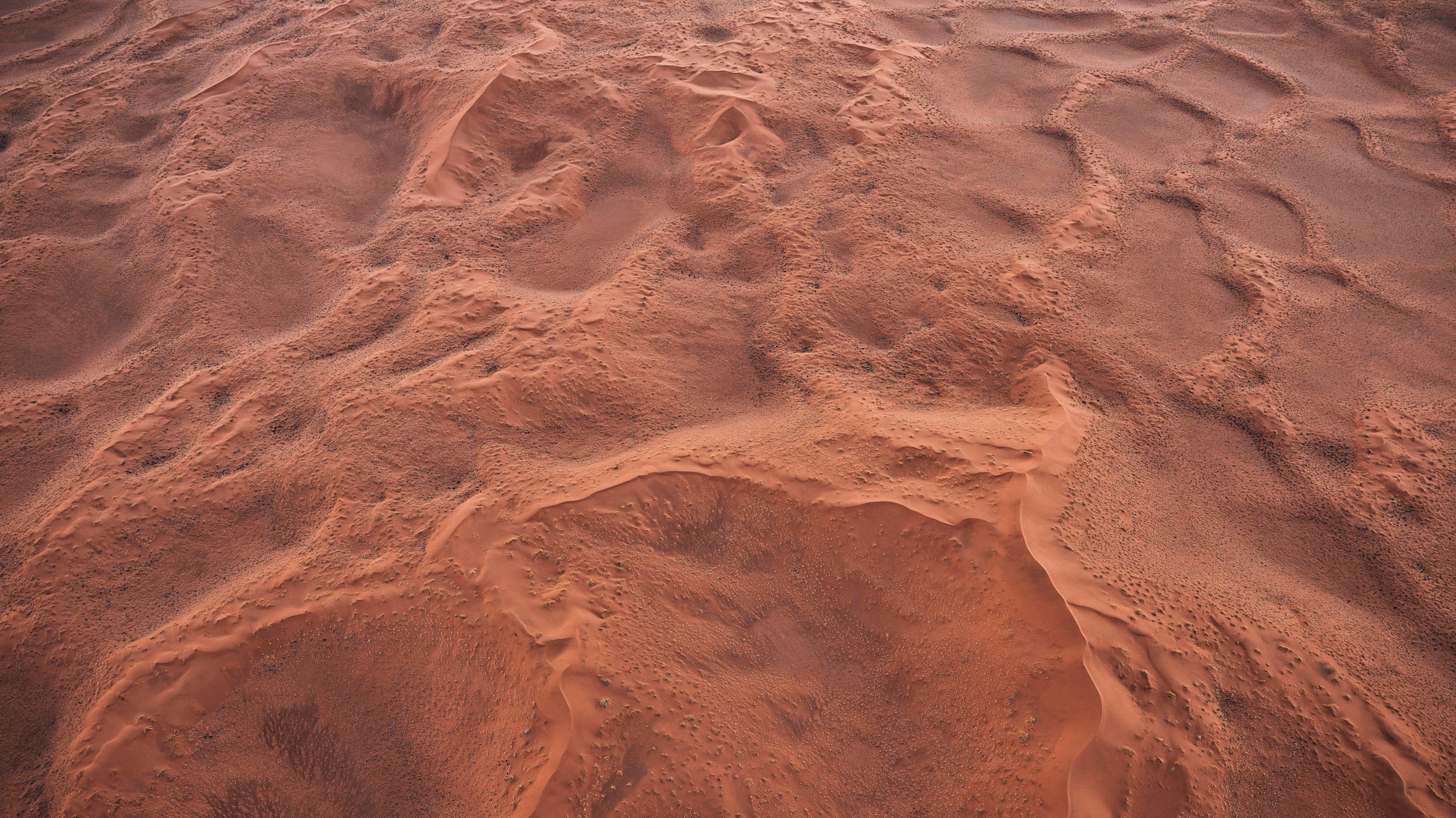 Namibia Sand Roses Desert Rose - Namib Desert, Namibia – JIN-WOO PRENSENA PHOTOGRAPHY