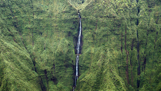 Paradise Fall - Kauai
